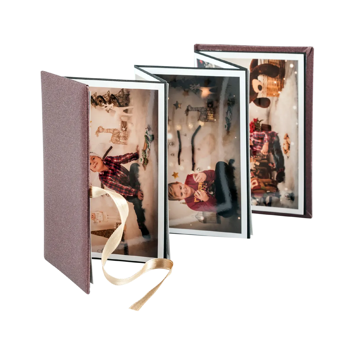 Acordeon foto cu 9 poze 10x15
